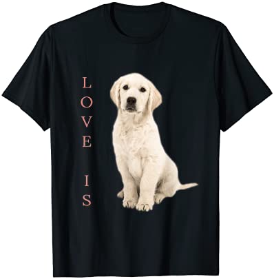 15 Labrador Shirt Designs Bundle For Commercial Use Part 5, Labrador T-shirt, Labrador png file, Labrador digital file, Labrador gift, Labrador download, Labrador design