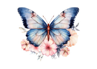 watercolor butterfly with flower clipart