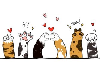 cute cat paws