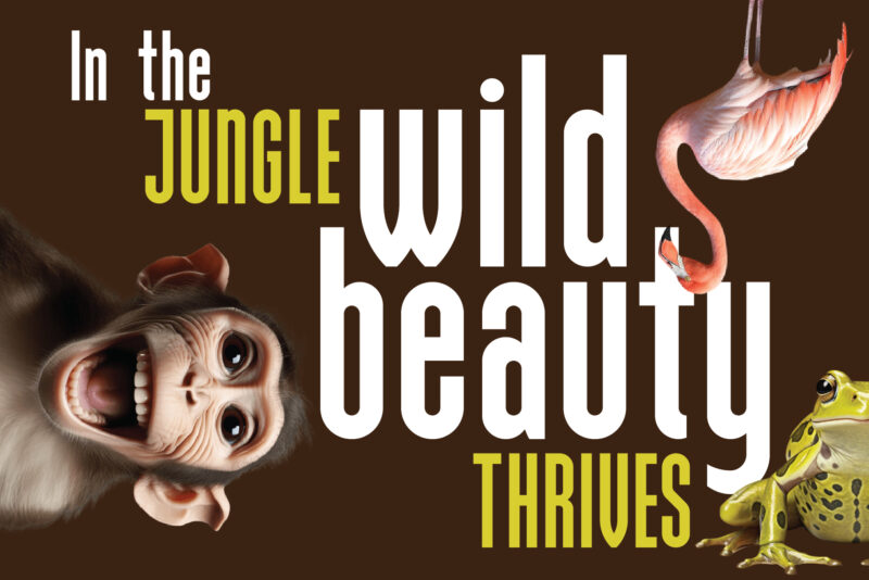 Tropico Display Font