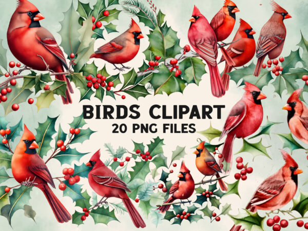 Red cardinal birds christmas clipart t shirt design online