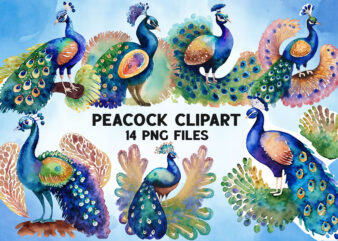 Watercolor Peacock Clipart Bundle Design