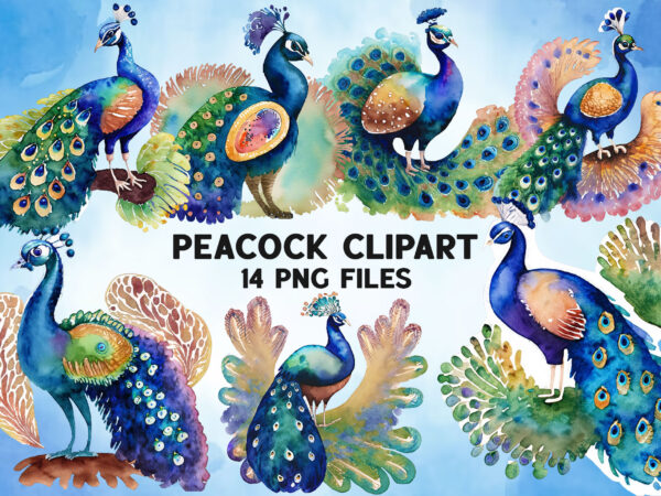 Watercolor peacock clipart bundle design