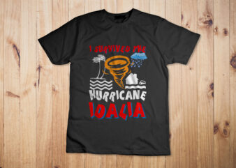 I survived the Hurricane Idalia T-Shirt Design I survived the Tropical Storm Idalia Men Women
