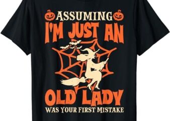 Assuming I Just An Old Lady Was Your First Mistake Halloween T-Shirt PNG File