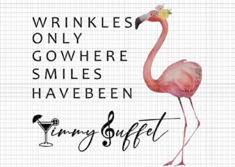Wrinkles Only Go Where Smiles Have Been Jimmy Buffet Flamingo Png, Cute Flamigo Png, Flamigo Png t shirt design for sale