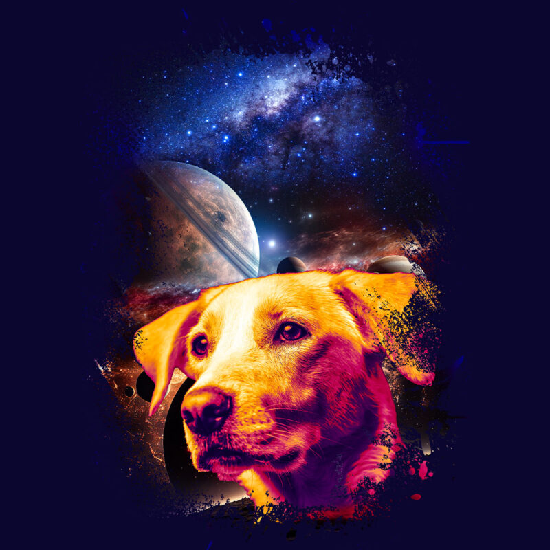 Dog Galaxy