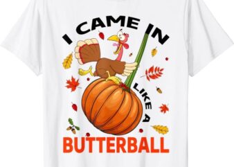 I Came In Like A Butterball Thanksgiving Turkey Costume T-Shirt