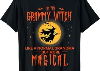 I’m The Grammy Witch It’s Like A Normal Grandma More Magical T-Shirt PNG File