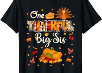 One Thankful Big Sis Fall Leaves Autumn Thanksgiving Sister T-Shirt