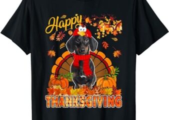 Thanksgiving Dachshund Wearing Turkey Costume Fall Leaves T-Shirt
