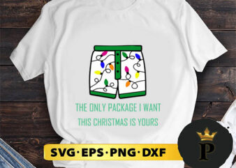 The Only Package I Want This Christmas Is Yours SVG, Merry Christmas SVG, Xmas SVG PNG DXF EPS