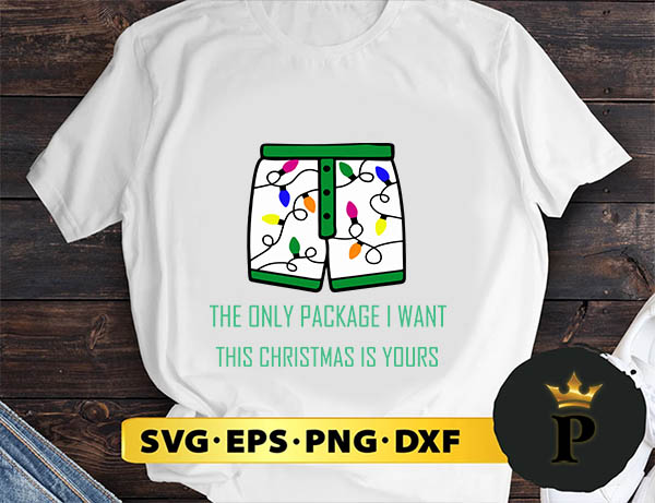 The Only Package I Want This Christmas Is Yours SVG, Merry Christmas SVG, Xmas SVG PNG DXF EPS