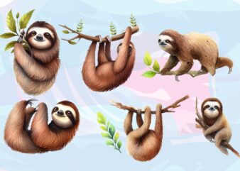 Sloth Animals Watercolor PNG Clipart