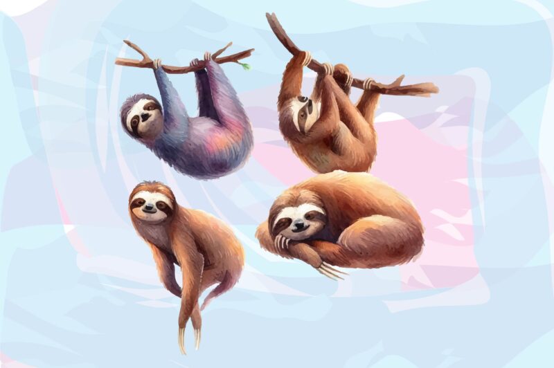 Sloth Animals Watercolor PNG Clipart