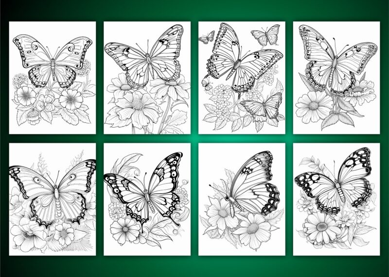 Butterfly Coloring Pages for Adults 3