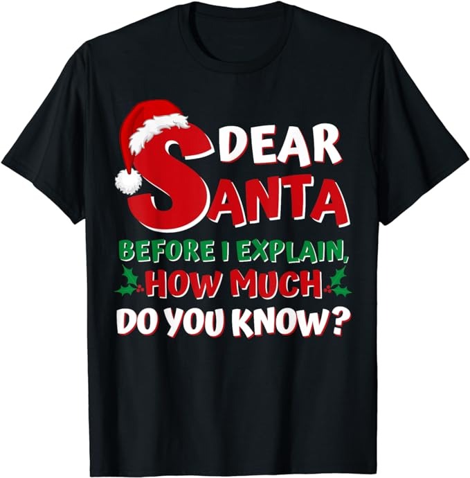 2023 Funny Christmas Shirts Kids Adults Santa I Can Explain T-Shirt PNG File