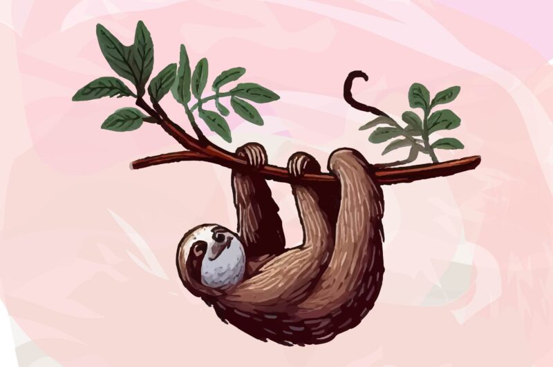 Sloth Animals Watercolor PNG Clipart