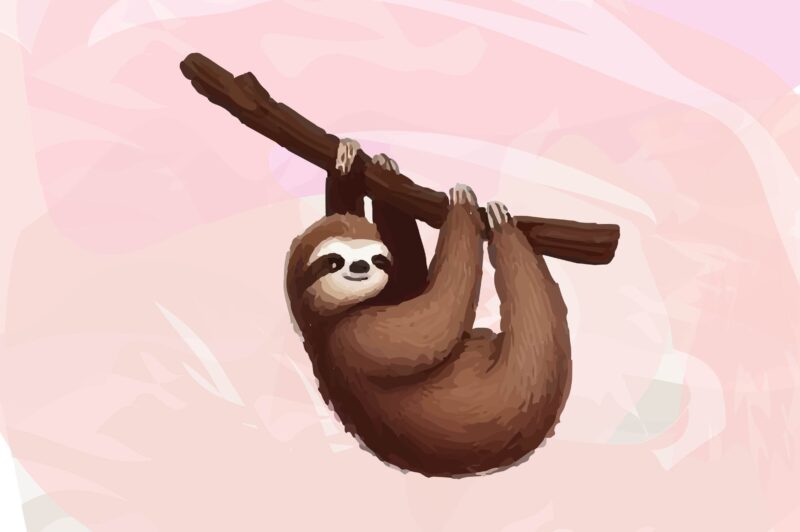 Sloth Animals Watercolor PNG Clipart