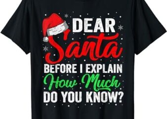 Dear Santa I Can Explain Funny Christmas Shirts Kids Adults T-Shirt