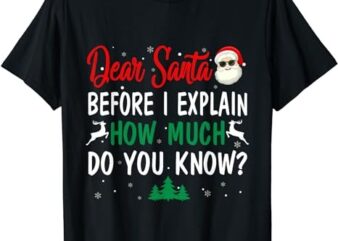 Funny Christmas Pajama Kids Adult Dear Santa I Can Explain T-Shirt