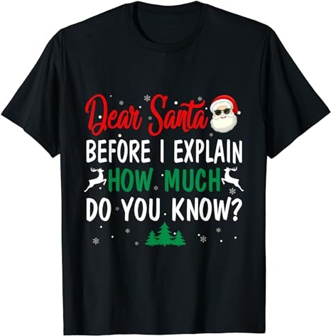 Funny Christmas Pajama Kids Adult Dear Santa I Can Explain T-Shirt