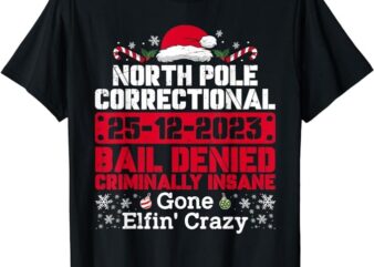 North Pole Correctional Bail Denied Criminally Insane Gone T-Shirt