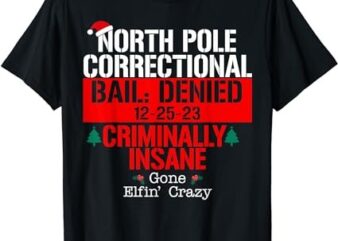 North Pole Correctional Bail Denied Criminally Insane Gone T-Shirt