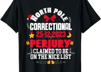 North Pole Correctional Perjury Family Matching Christmas T-Shirt