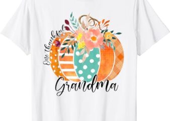 One Thankful Grandma Plaid Fall Pumpkin Shirt Thanksgiving T-Shirt