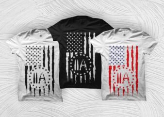 American 2nd amendment flag t-shirt design download