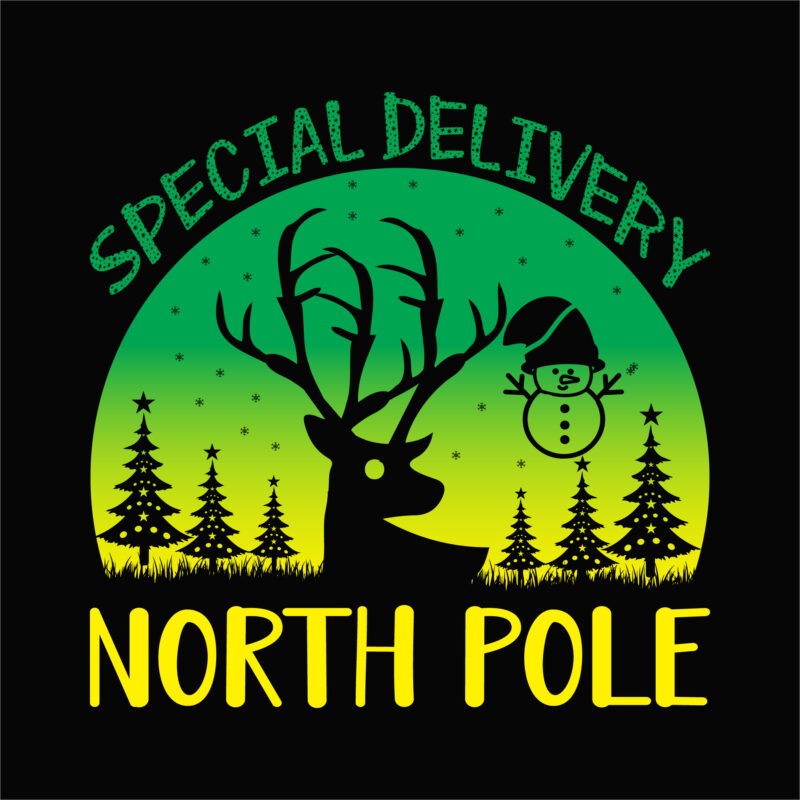 Special delivery north pole