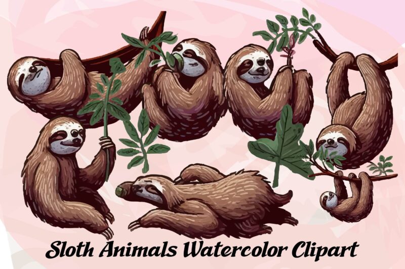 Sloth Animals Watercolor PNG Clipart