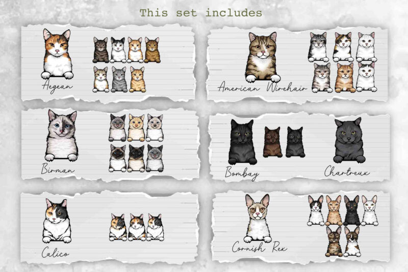Peeking Cats, 27 Breeds & 131 Elements, Color Set 2