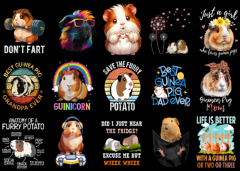 15 Guinea Pig Shirt Designs Bundle For Commercial Use Part 3, Guinea Pig T-shirt, Guinea Pig png file, Guinea Pig digital file, Guinea Pig g