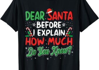 Dear Santa I Can Explain Funny Christmas Men Women Kids T-Shirt