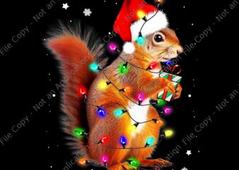 Squirrel Christmas Hat Santa PNG, Squirrels Lover Xmas PNG, Squirrel Light Xmas PNG t shirt template vector