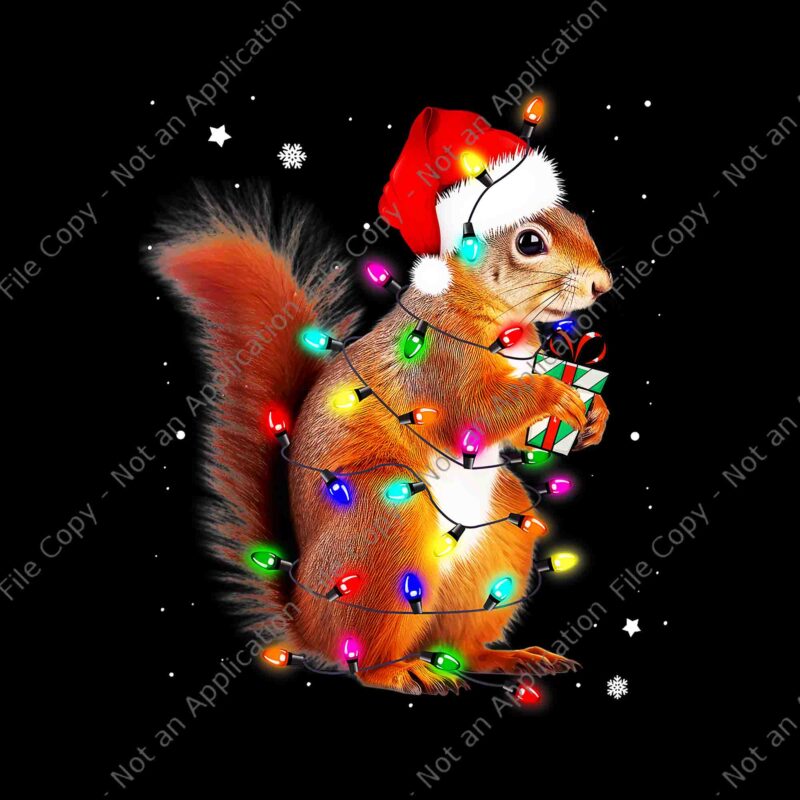 Squirrel Christmas Hat Santa PNG, Squirrels Lover Xmas PNG, Squirrel Light Xmas PNG