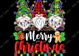 Gnomes merry christmas light png, family gnome xmas png, three gnome christmas png