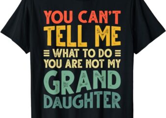 Funny Grandpa Shirt For Grandfather Men Papa Birthday T-Shirt