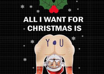 Hilarious Situations Ugly Christmas Png, All I Want For Christmas Is Png Funny Christmas Png graphic t shirt