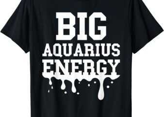 Big Aquarius Energy Men Women Zodiac Sign Drip Birthday T-Shirt