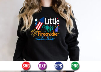 Little Miss Firecracker, 4th of july funny, 4th of july, july, 4th, 4th of july summer, 4th of july patriotic, 4th of july 4th, funny, july t shirt vector graphic