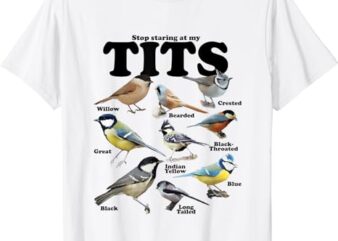 Stop Staring At My Tits Funny T-Shirt