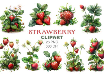 Strawberry clipart PNG.