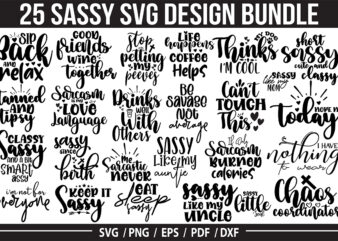 Sassy SVG Bundle, Sarcastic SVG Bundle t shirt template vector