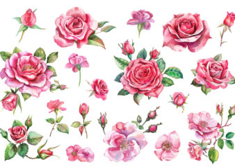 Pink Roses, Printable Watercolor clipart