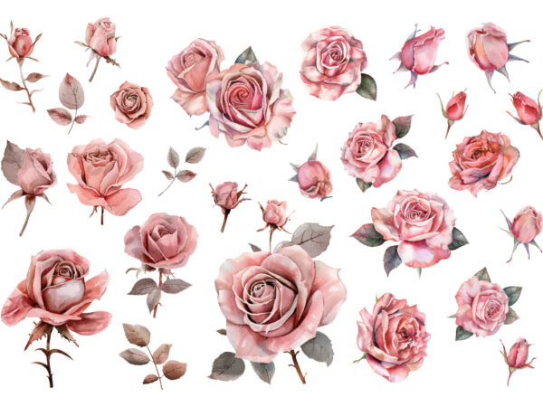 Pink roses, printable watercolor clipart t shirt illustration