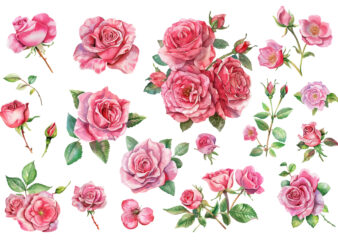 Pink Roses, Printable Watercolor clipart t shirt illustration