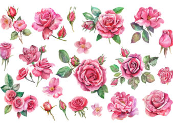 Romantic Watercolor roses Flowers png t shirt design online